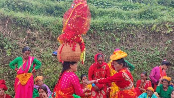 आज गौरा पर्वको मुख्य दिन, सुदूरपश्चिममा दुई दिन सार्वजनिक विदा